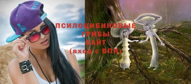 Галлюциногенные грибы Magic Shrooms  где купить наркоту  кракен онион  Воркута 